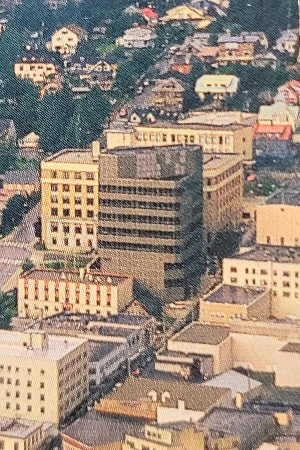 Vintage aerial