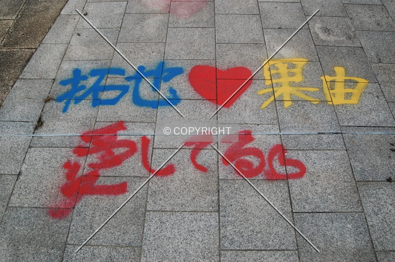 Photo 087-660-346