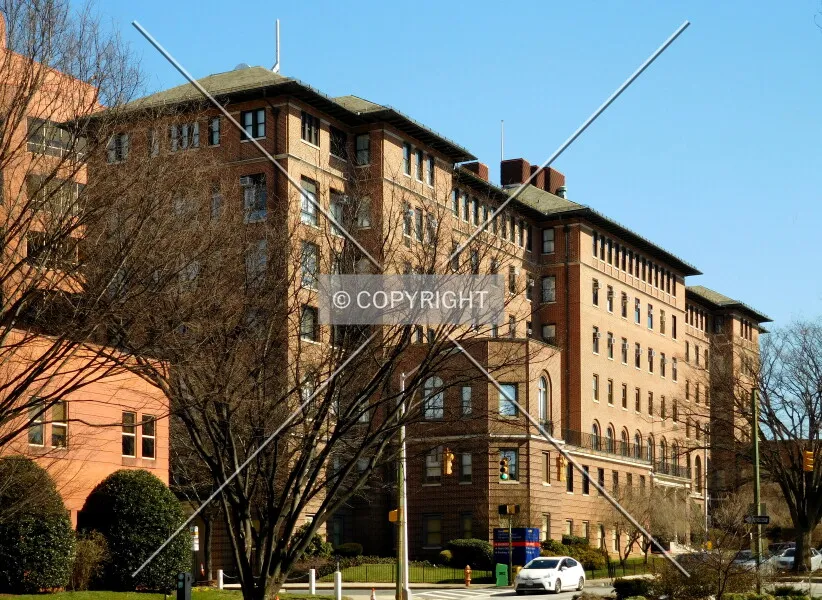 Photo 087-689-307
