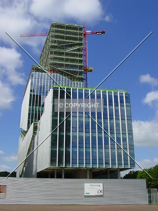 View from the east