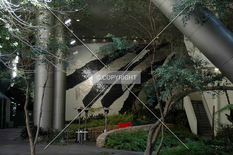 Photo 087-770-548