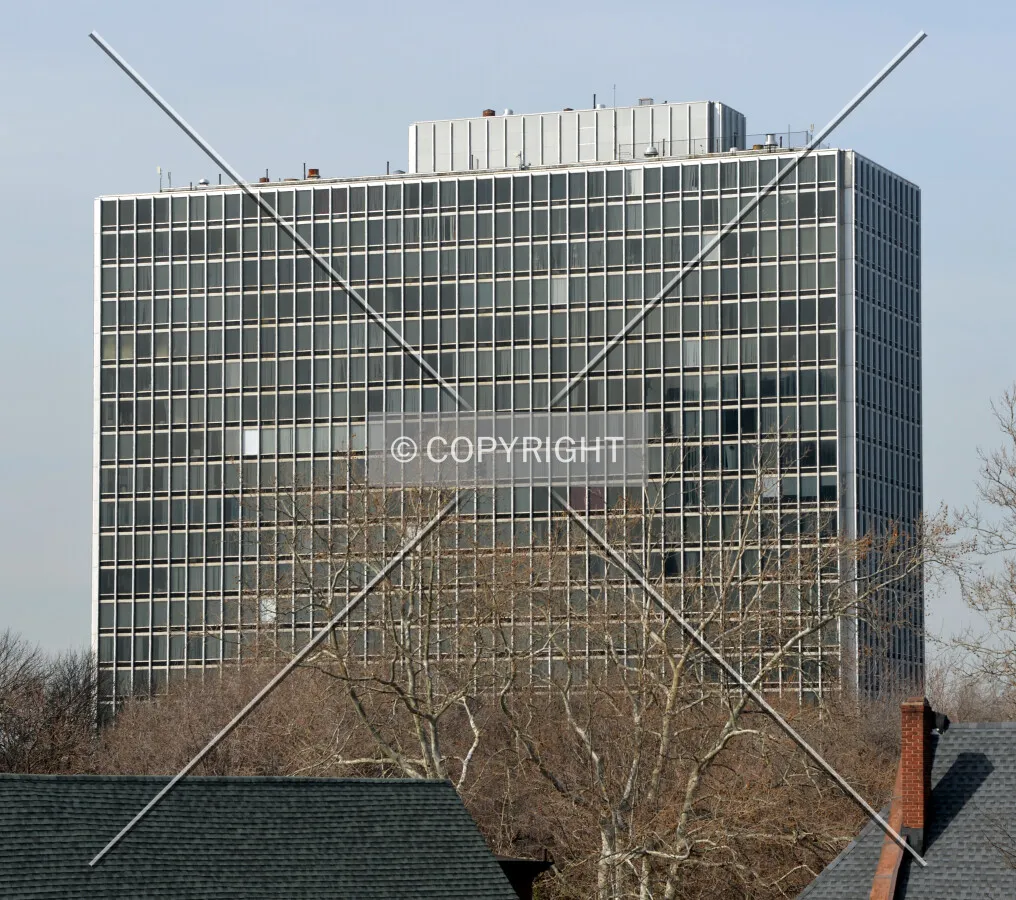 View from the south