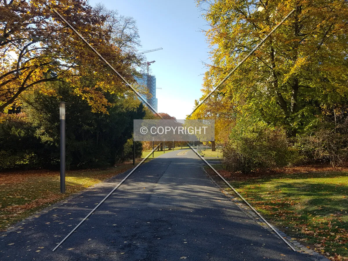 On the Goethe University Campus