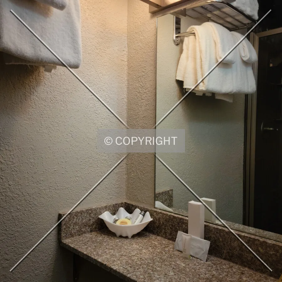 Guest bathroom; June 7, 2022