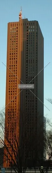 Photo 879-231-073
