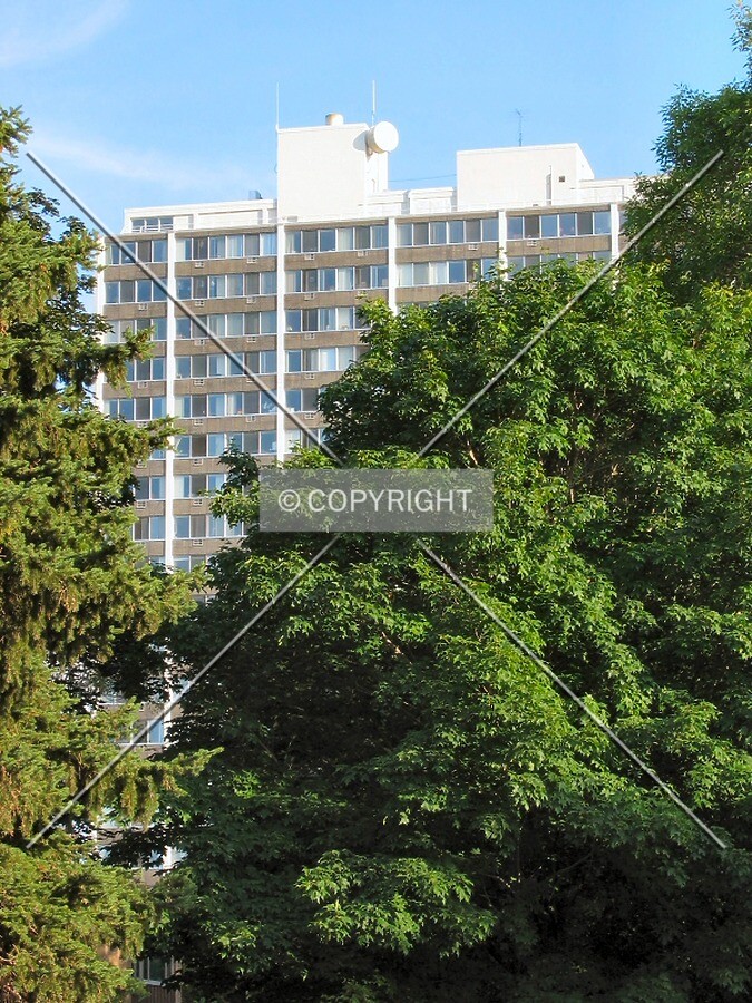 View to the south through the trees of Mississippi River Boulevard