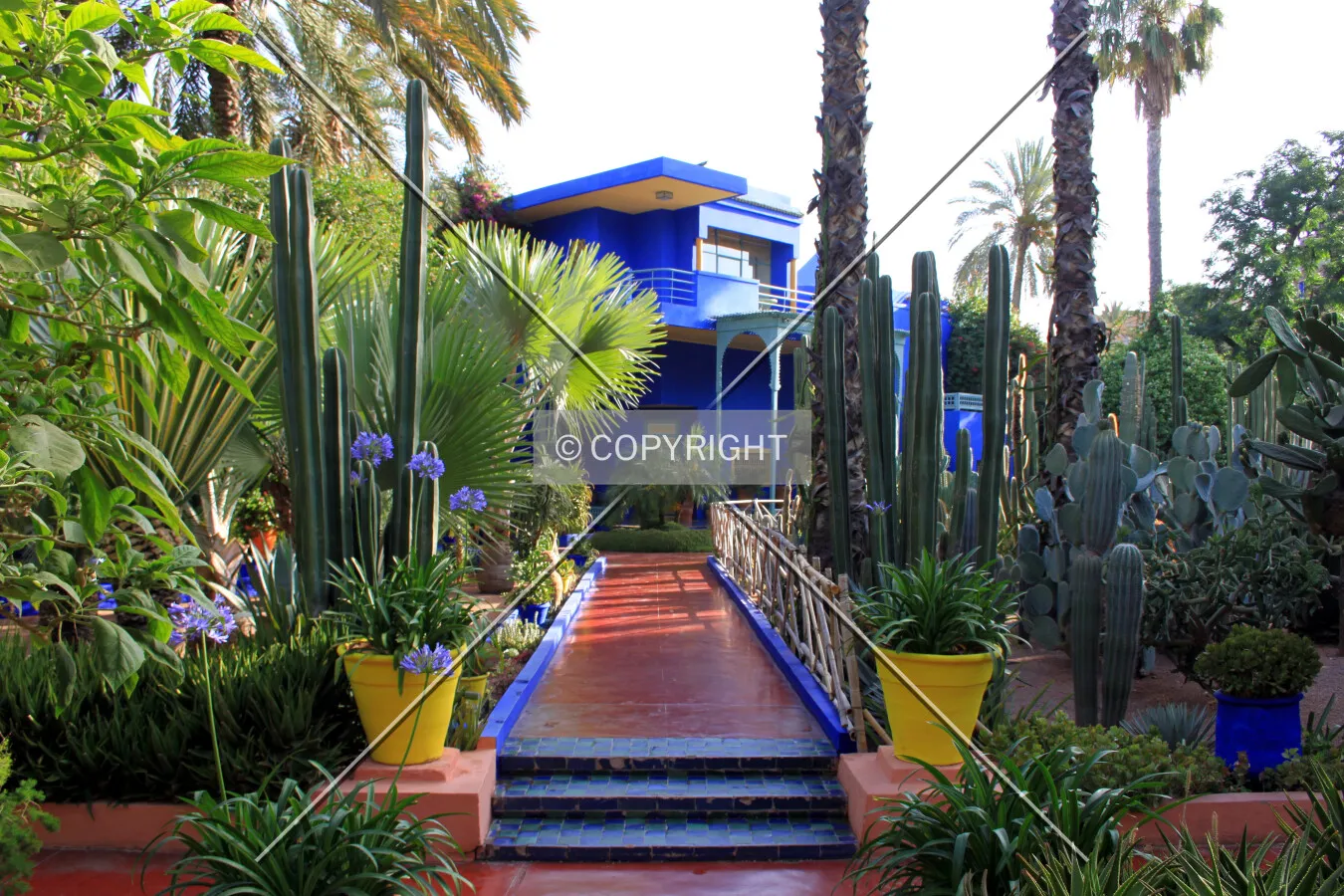 Majorelle Gardens