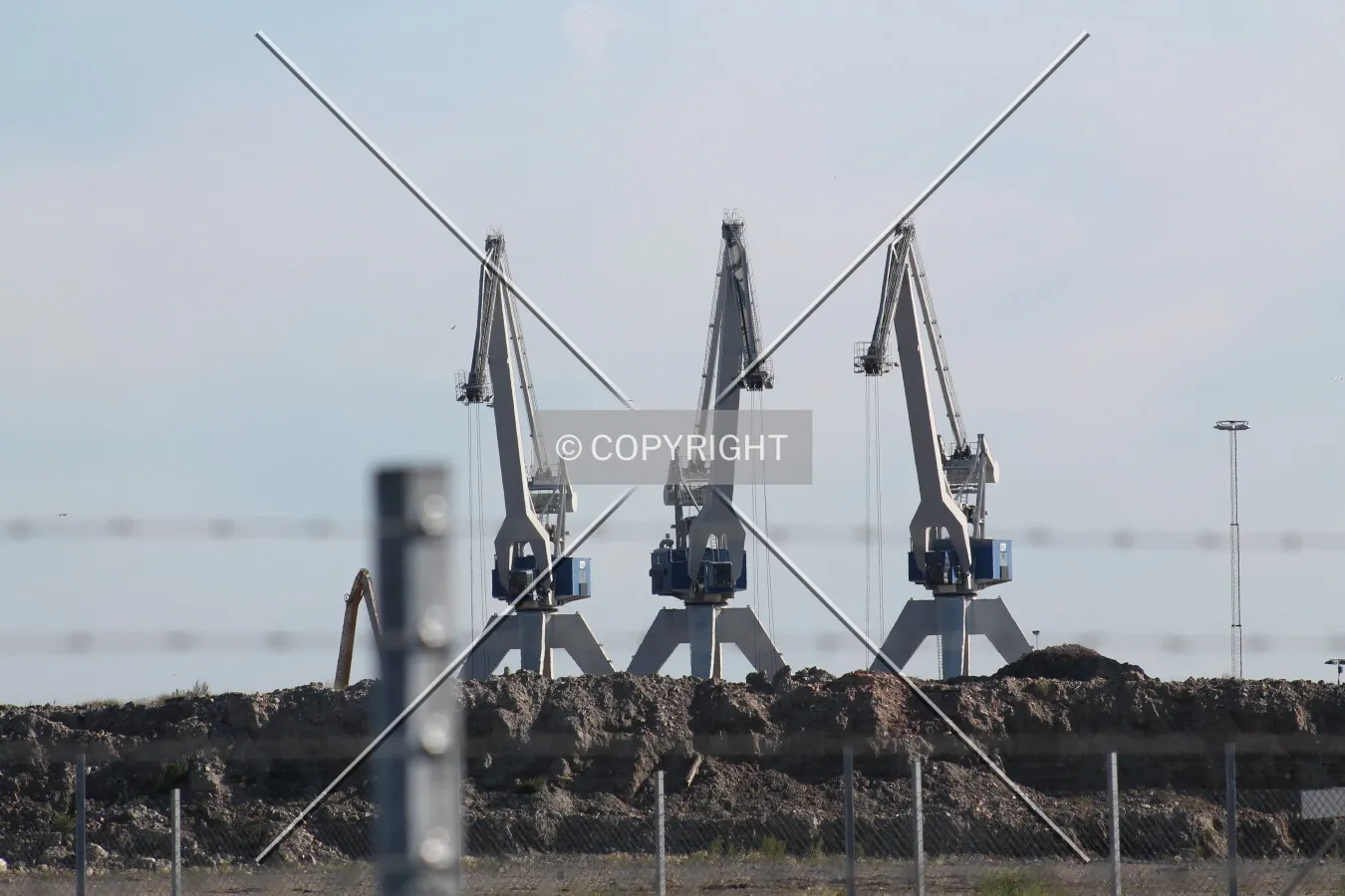 Three huge container cranes
