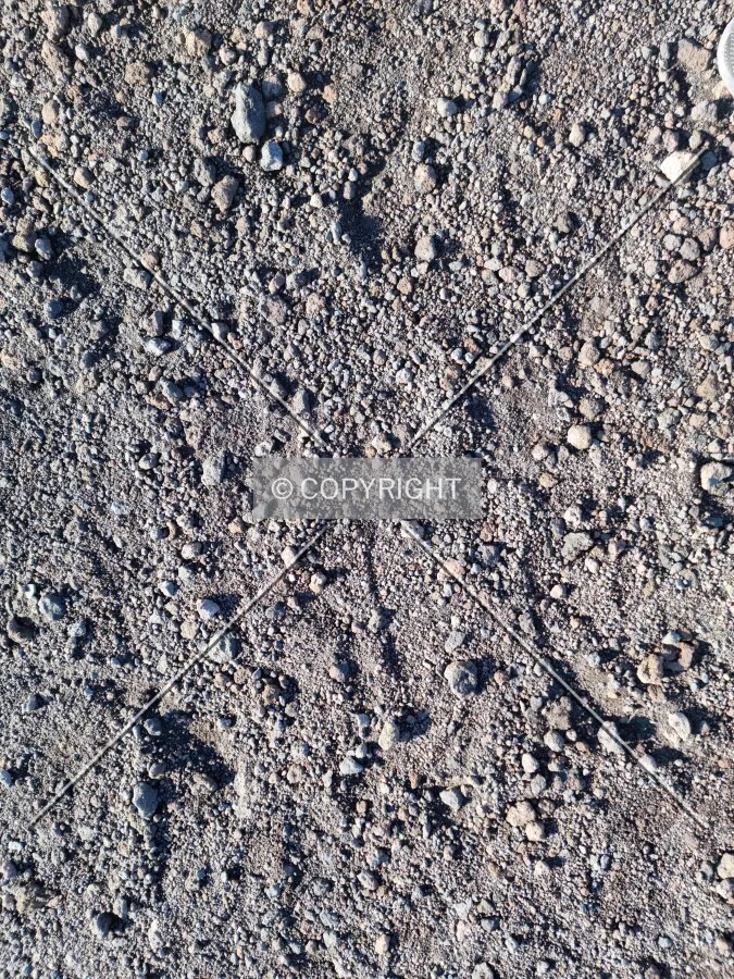 Photo 880-362-069
