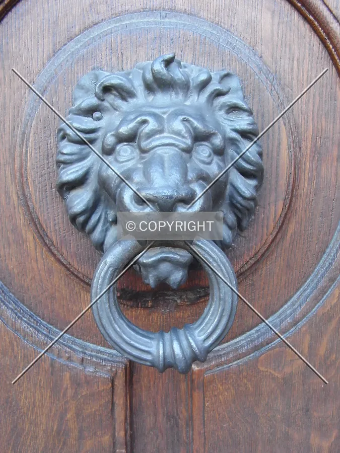 Door knocker at Design School in Basel