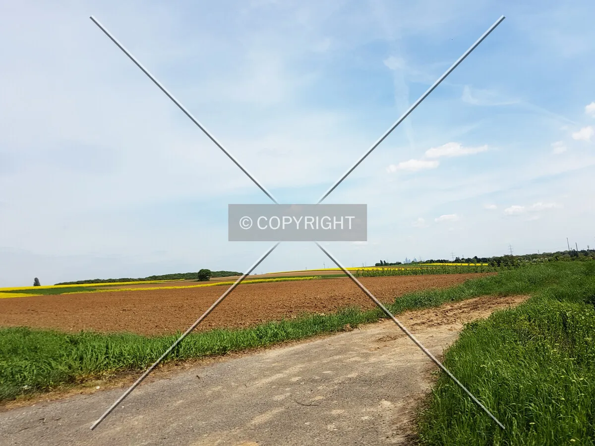 Photo 088-043-968