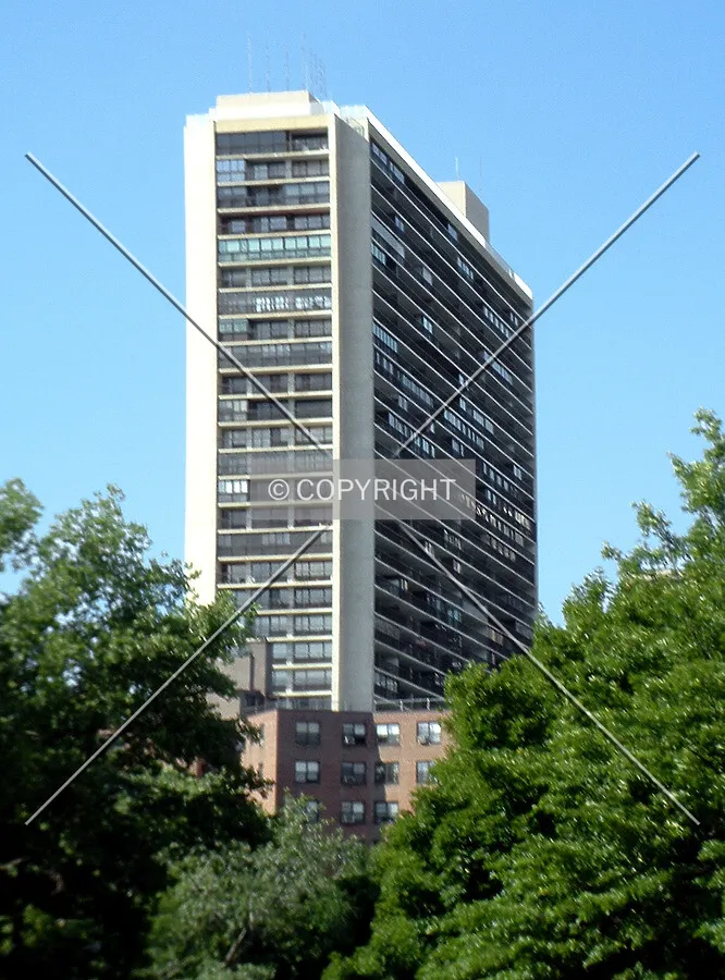 View from the south