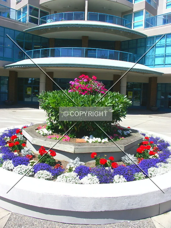 Circular driveway