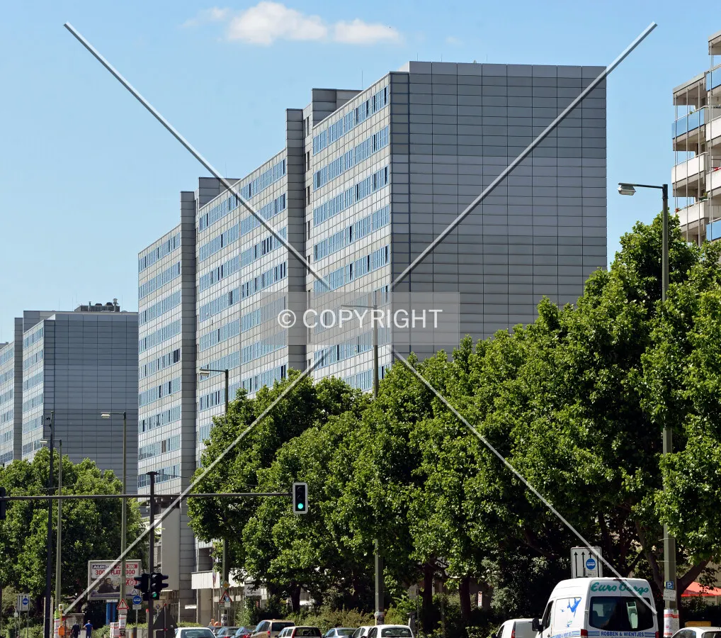 View from the southeast