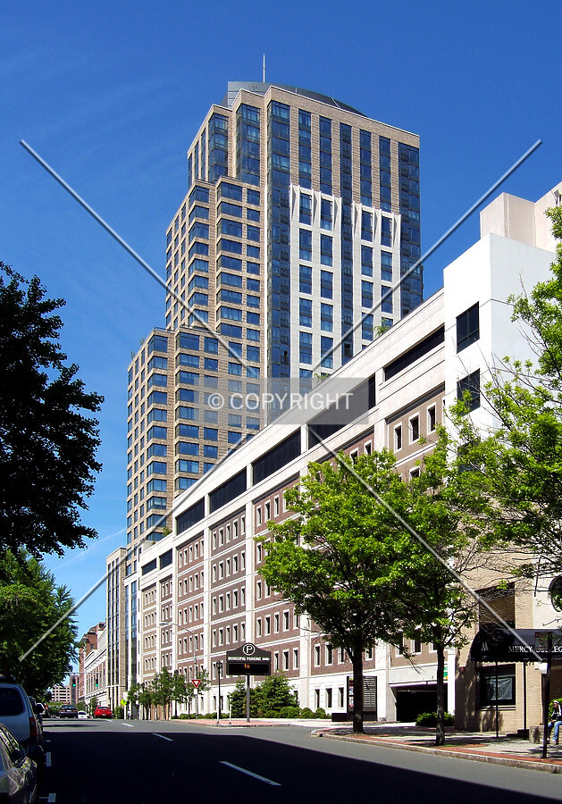 View from the east along Martine Avenue