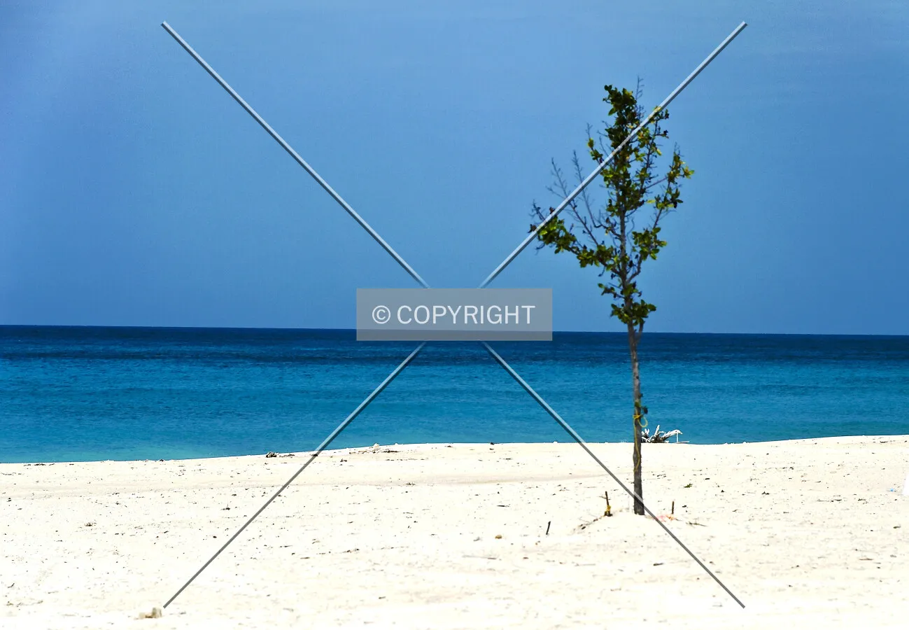 Bimini, Bahamas