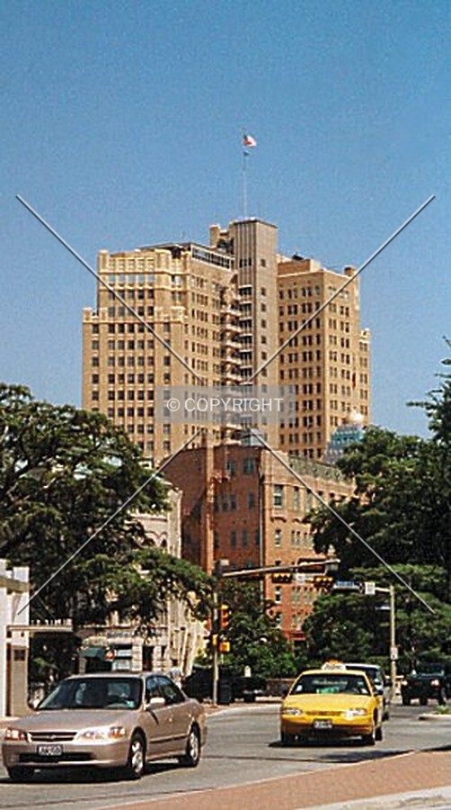 View from Alamo Street