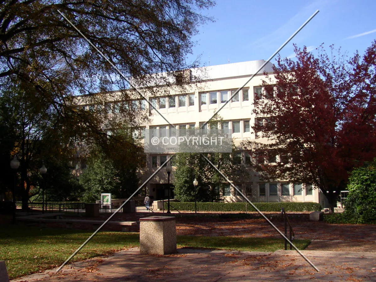 From the east