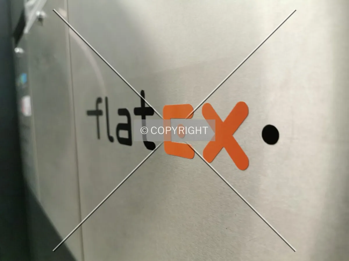 flatex Logo