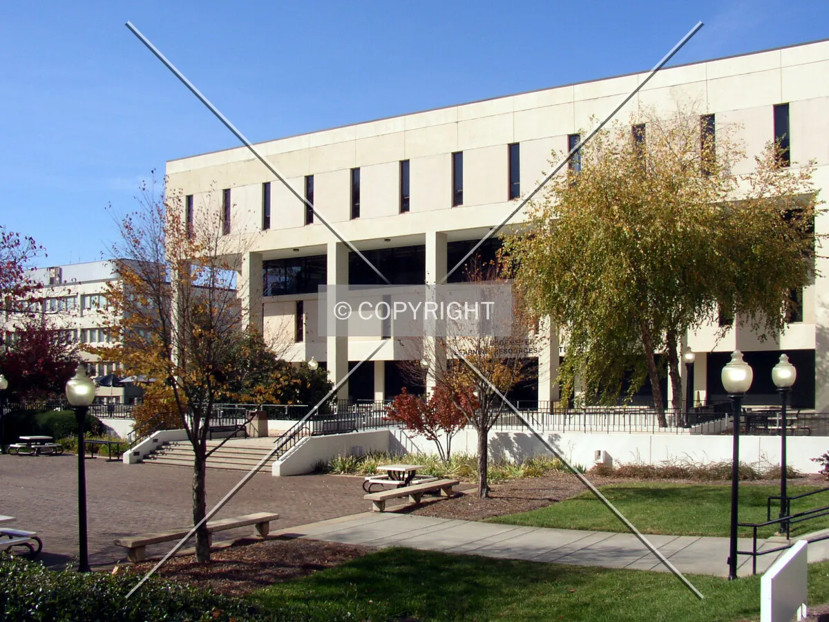 From the east