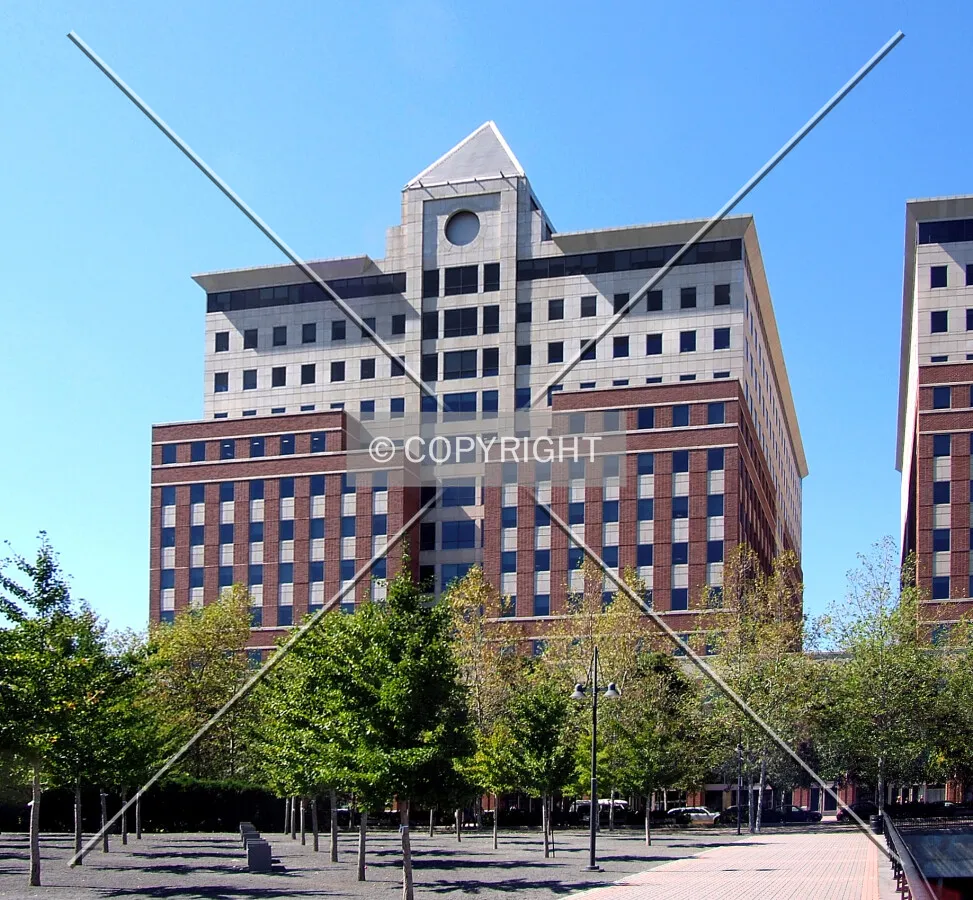 View from the east
