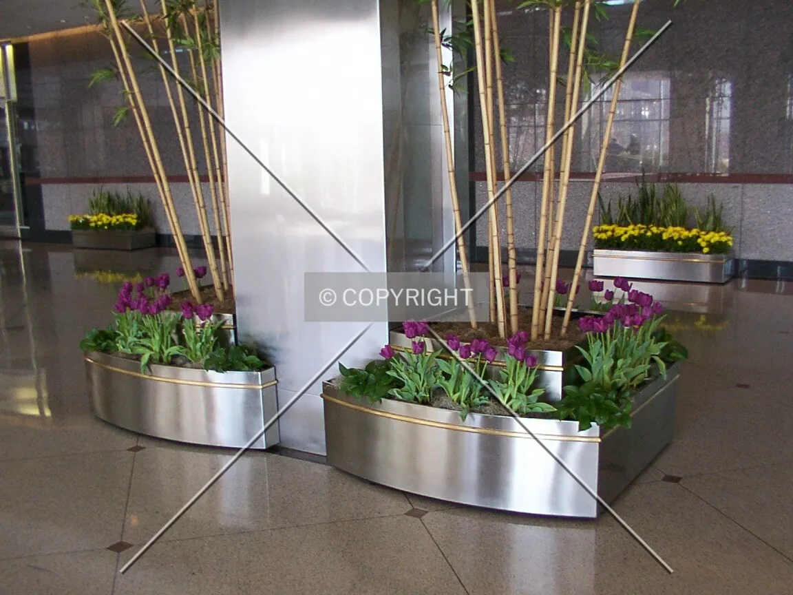 Interior landscaping