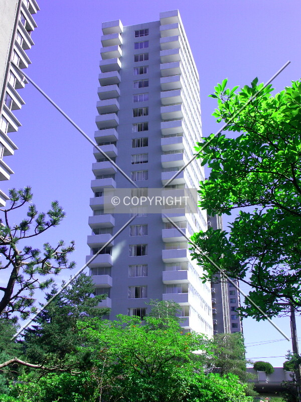 West side view from Pendrell Street