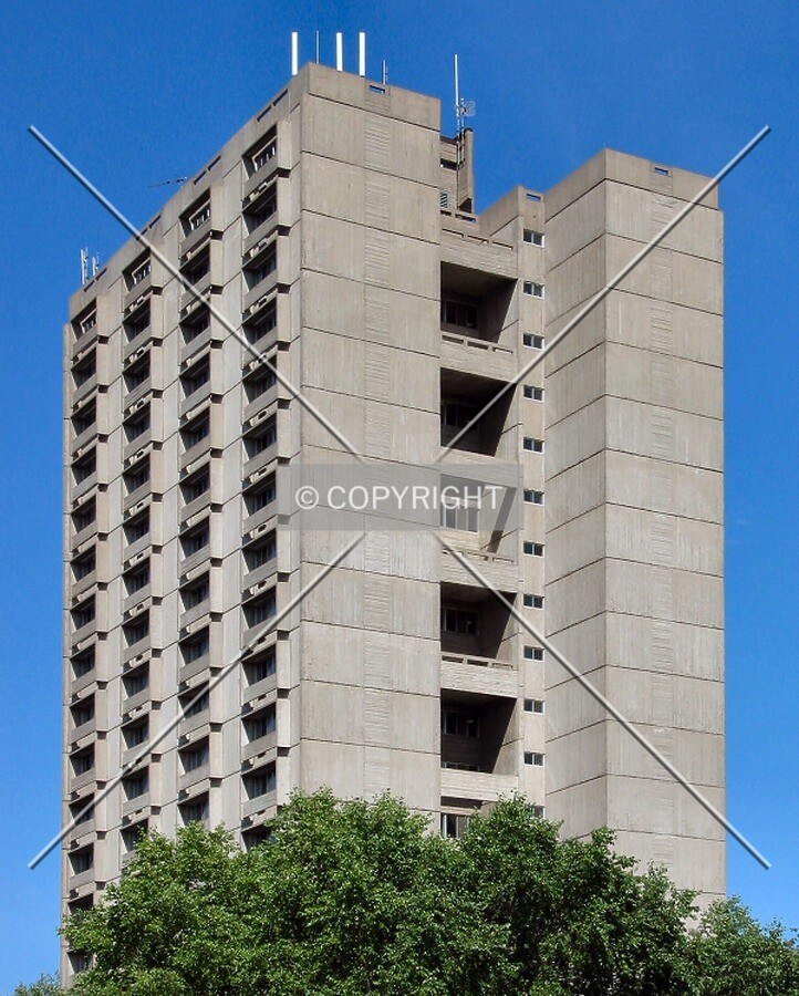 Rising above surrounding trees, from Front Avenue
