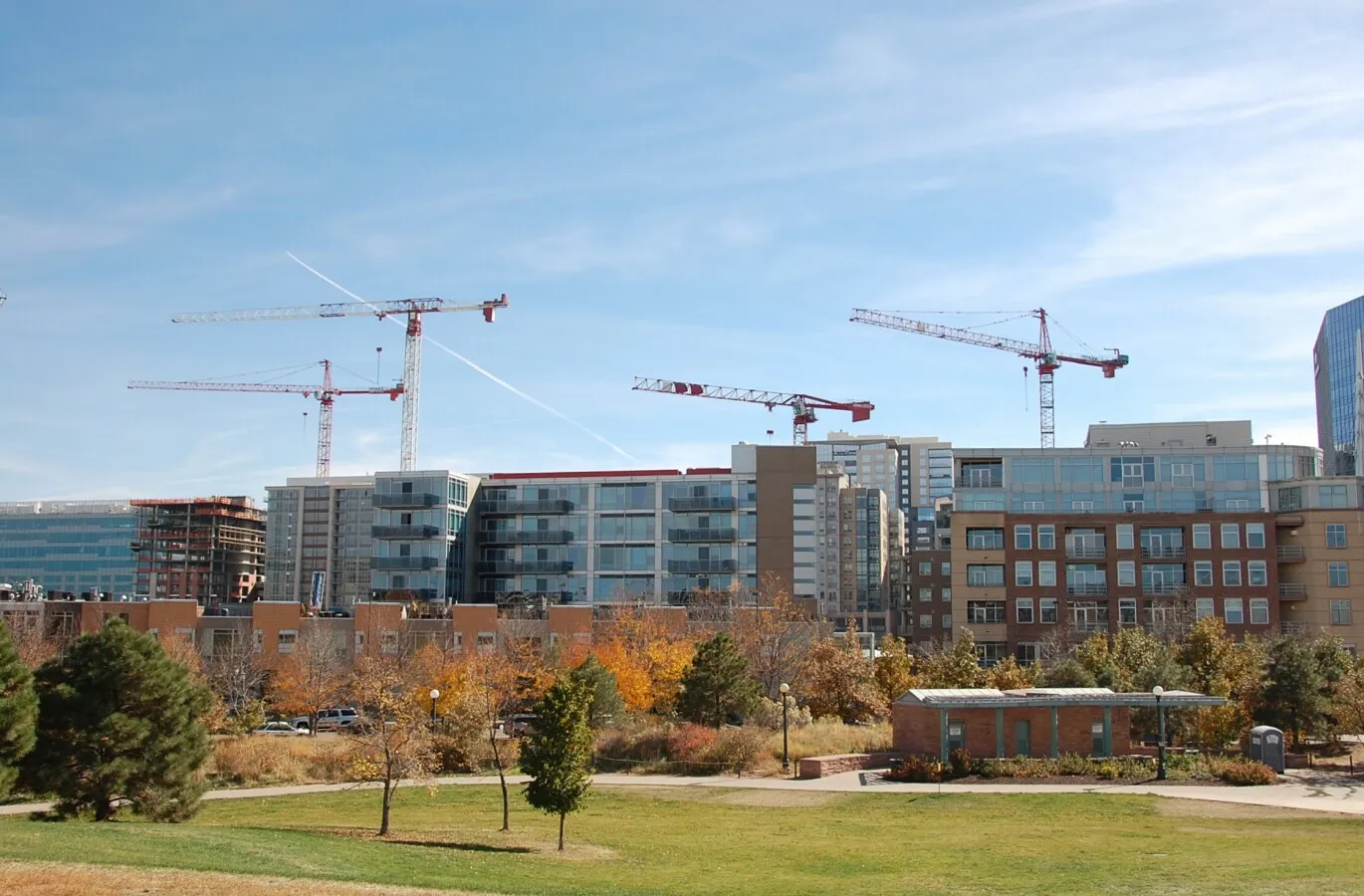 Tower cranes viewed from commons park