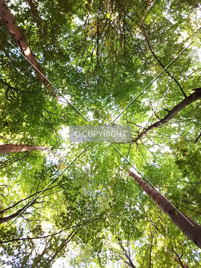 Photo 888-143-220