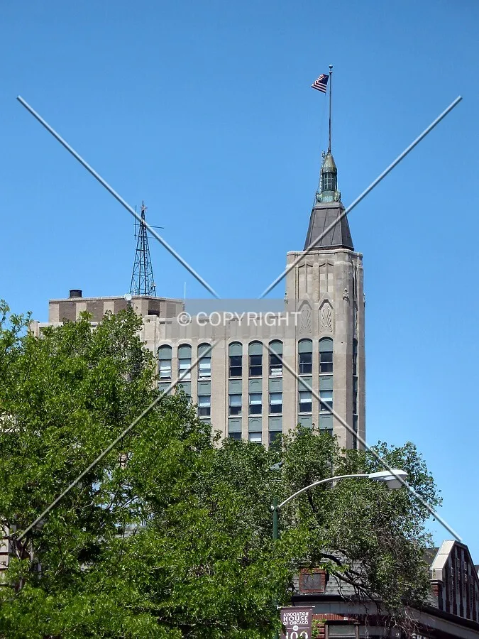 Rising above trees from Wicker Park