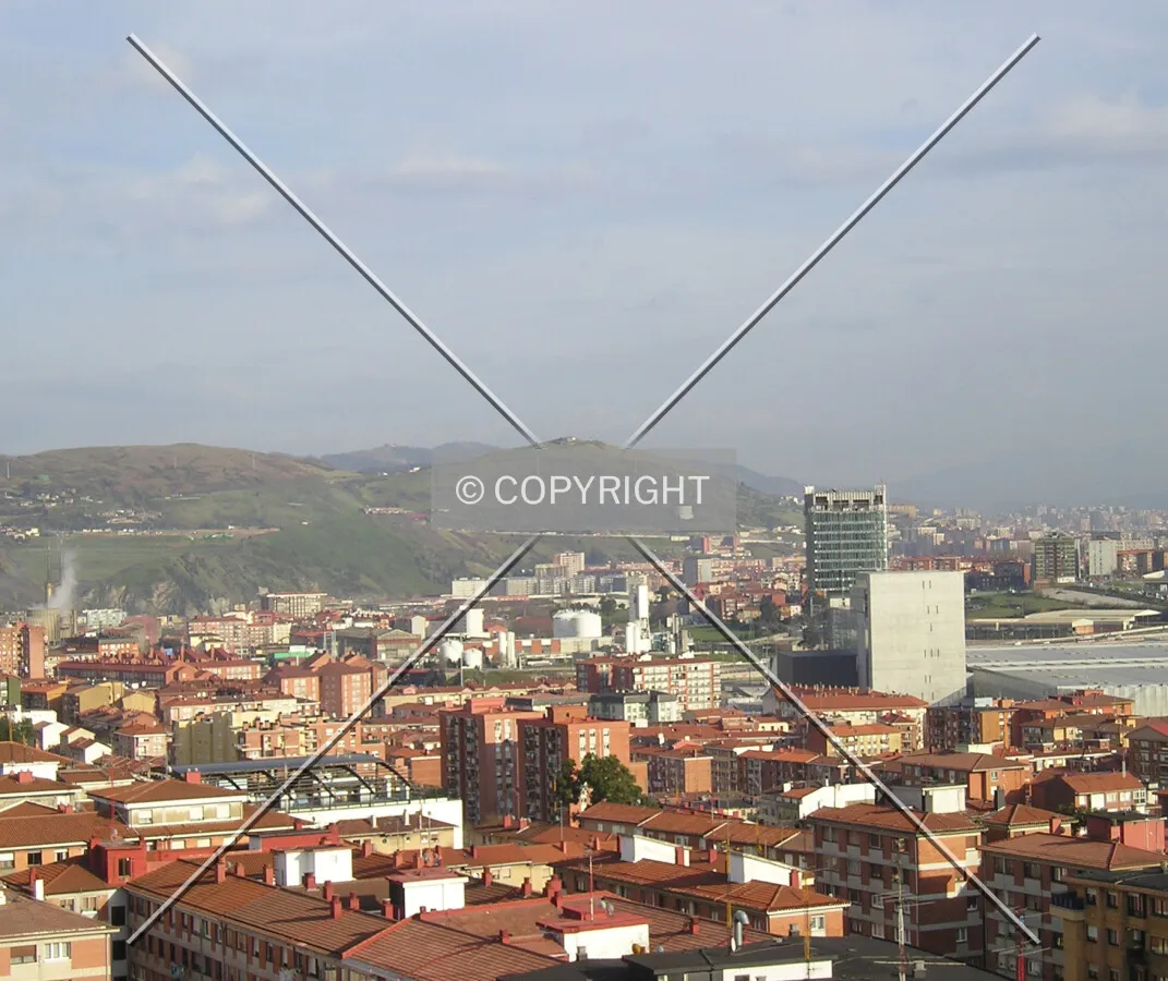 View from the roof of Torre Vallehermoso