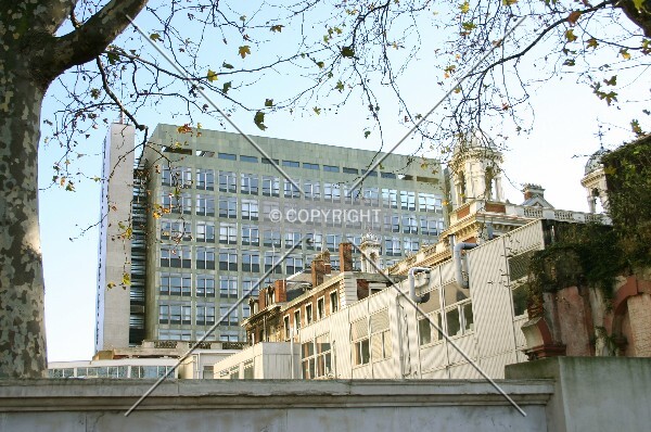 View from Albert Embankment
