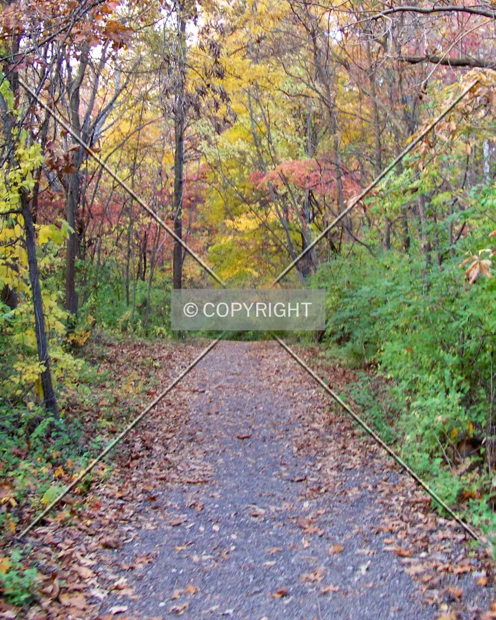 Walking path at Laumier Sculpture park