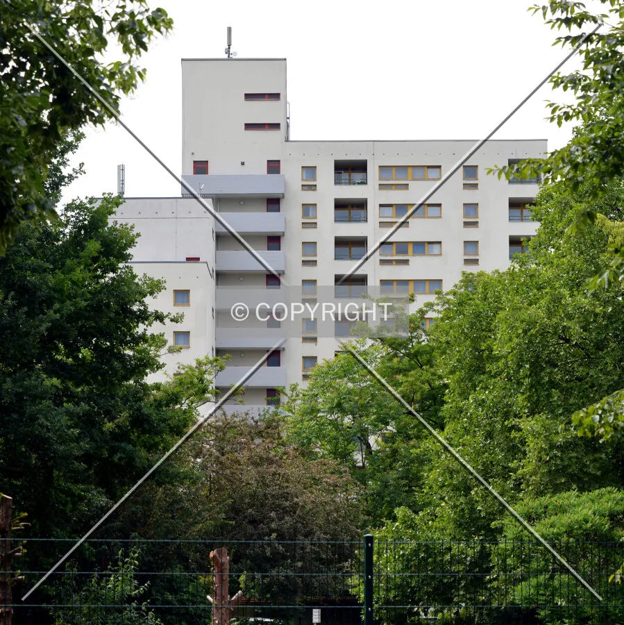 View from the east