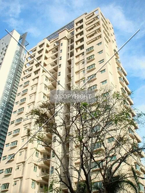 View from the north