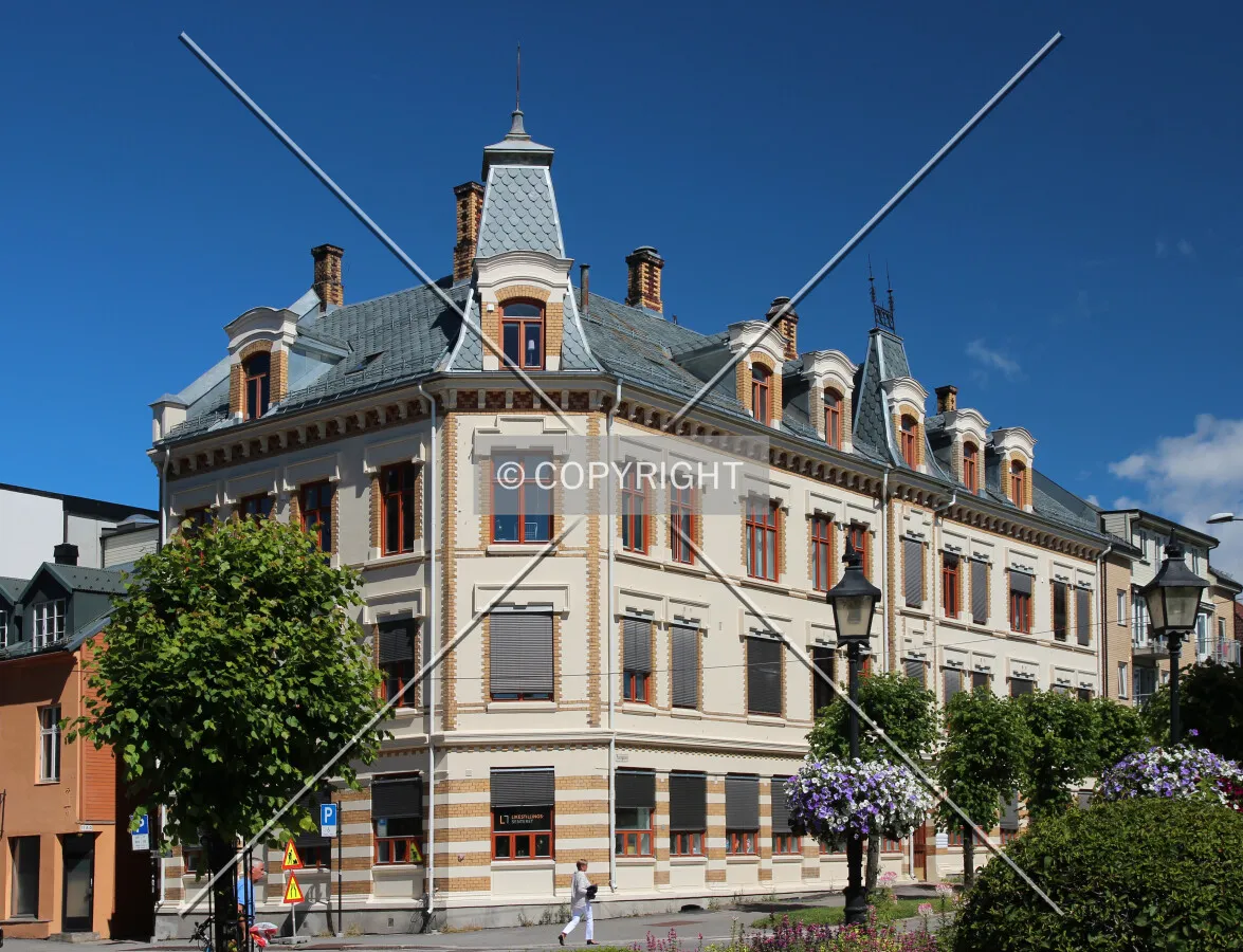 View from the south