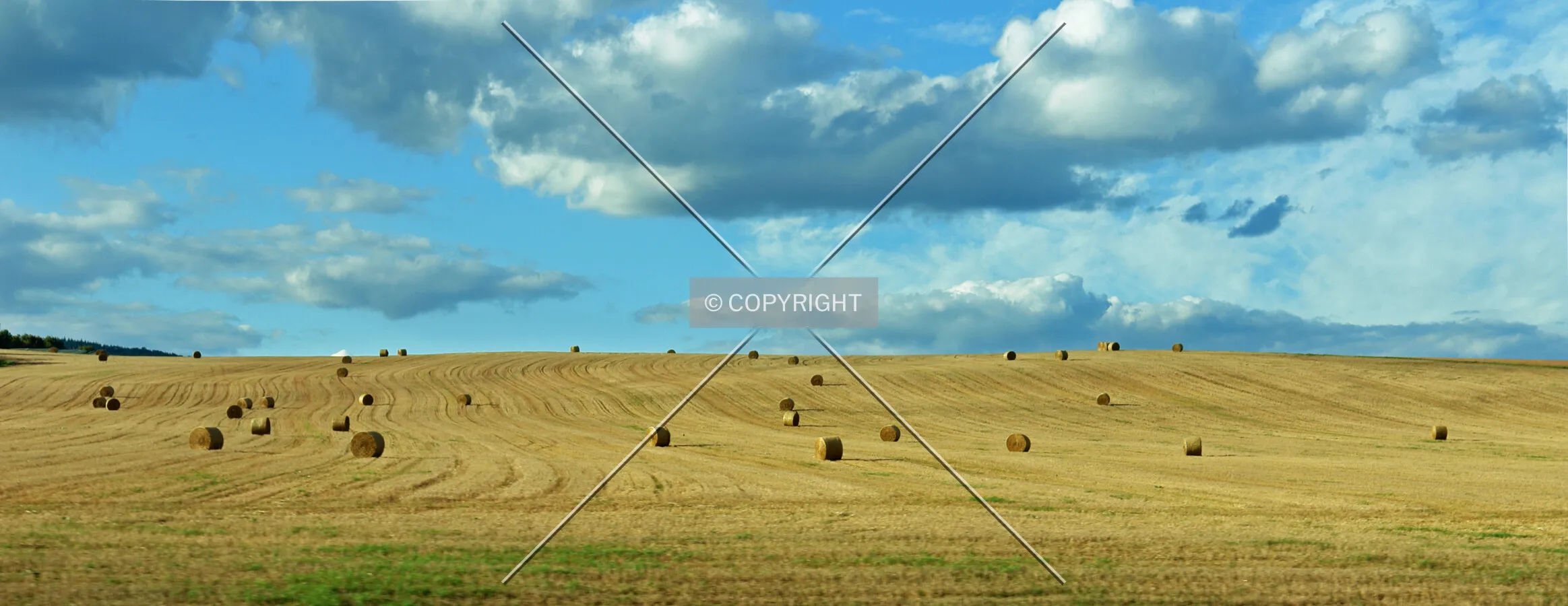 hay bales on a nice summer day