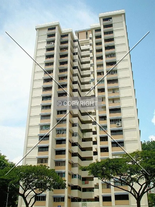 View from ground level