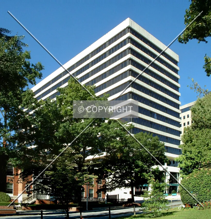 View from the southeast