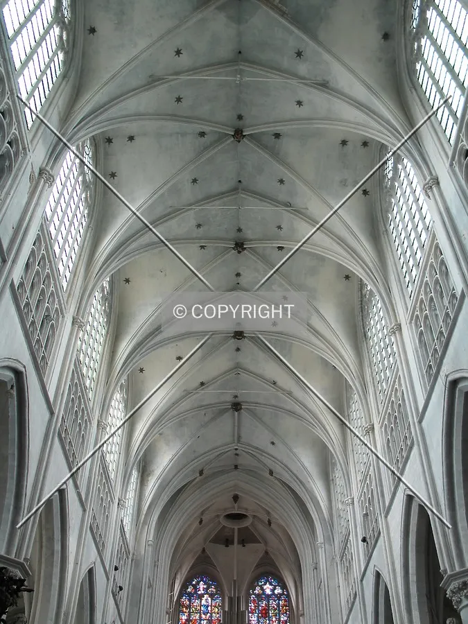 Looking up towards the tower