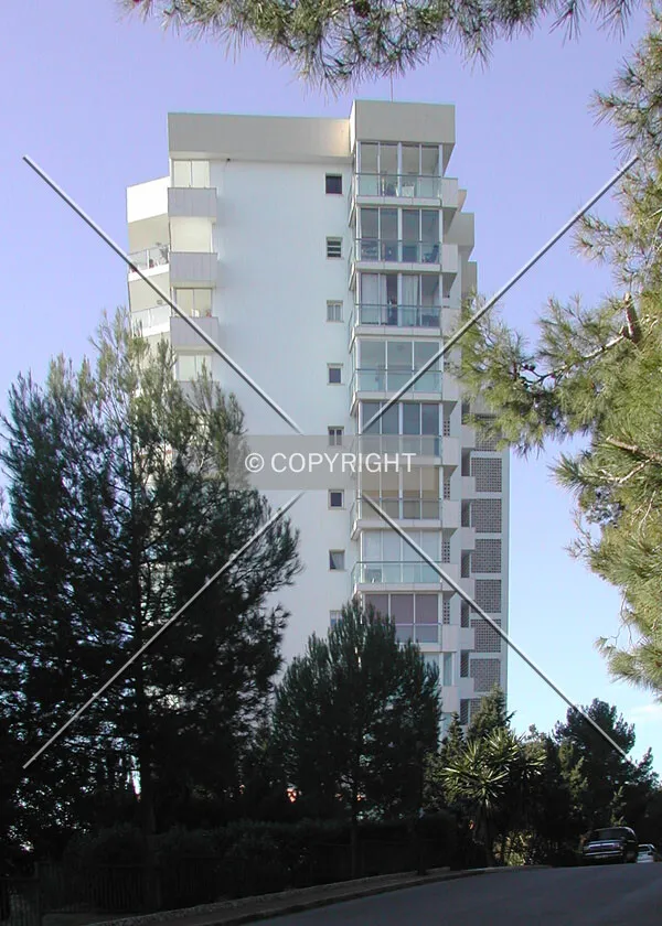 Photo 892-173-377