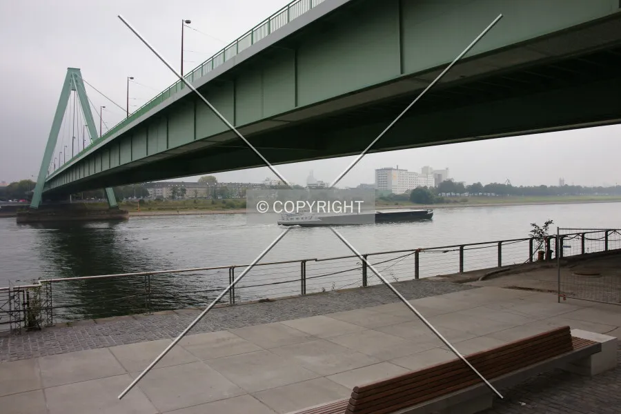 Photo 892-417-659