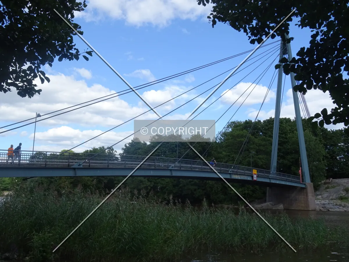 Photo 892-460-037