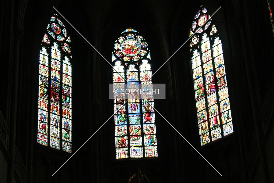 Photo 892-718-575
