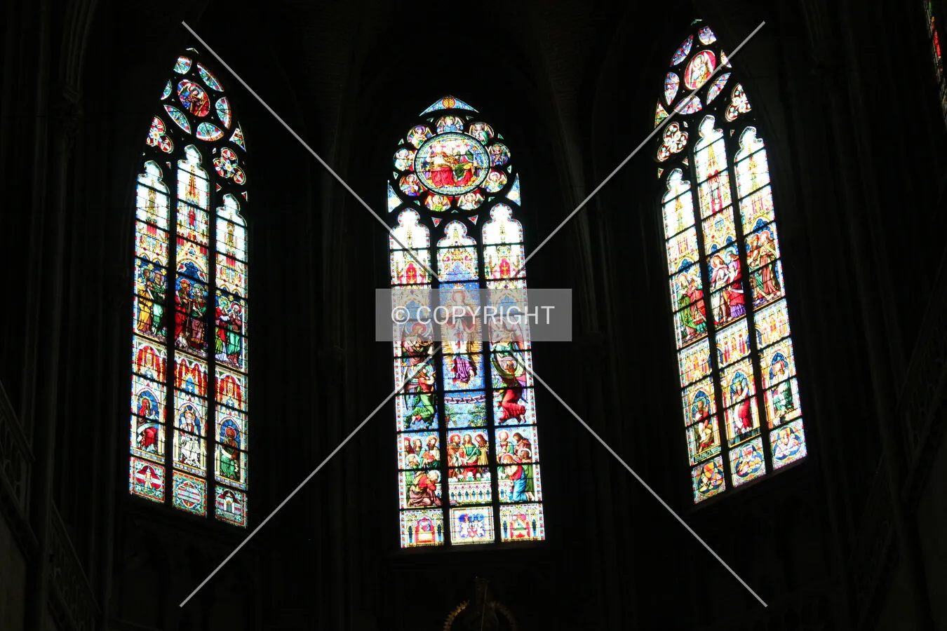 Photo 892-718-575