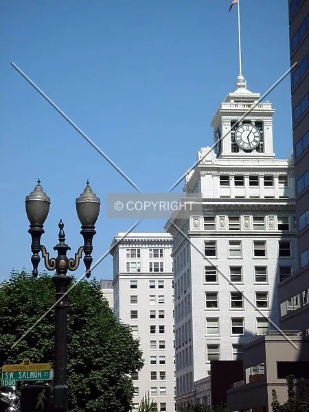 Photo 893-921-028