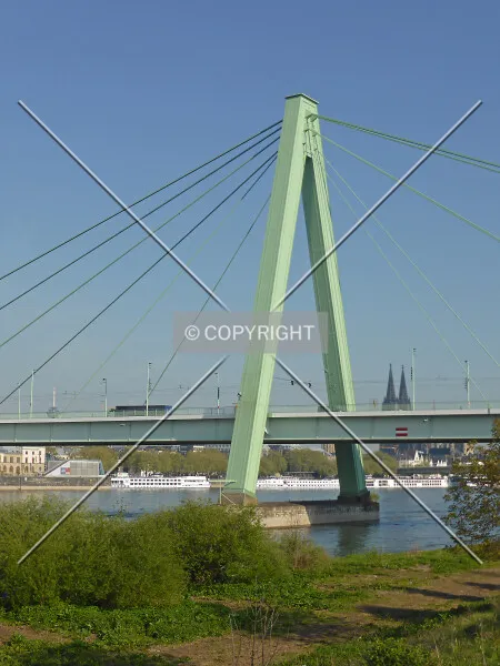 Photo 894-020-802