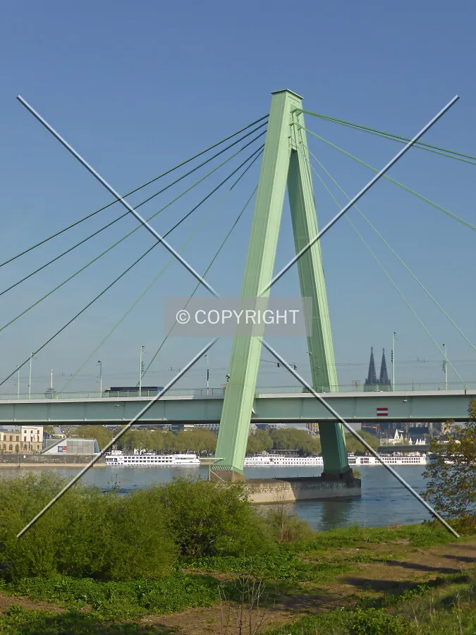 Photo 894-020-802