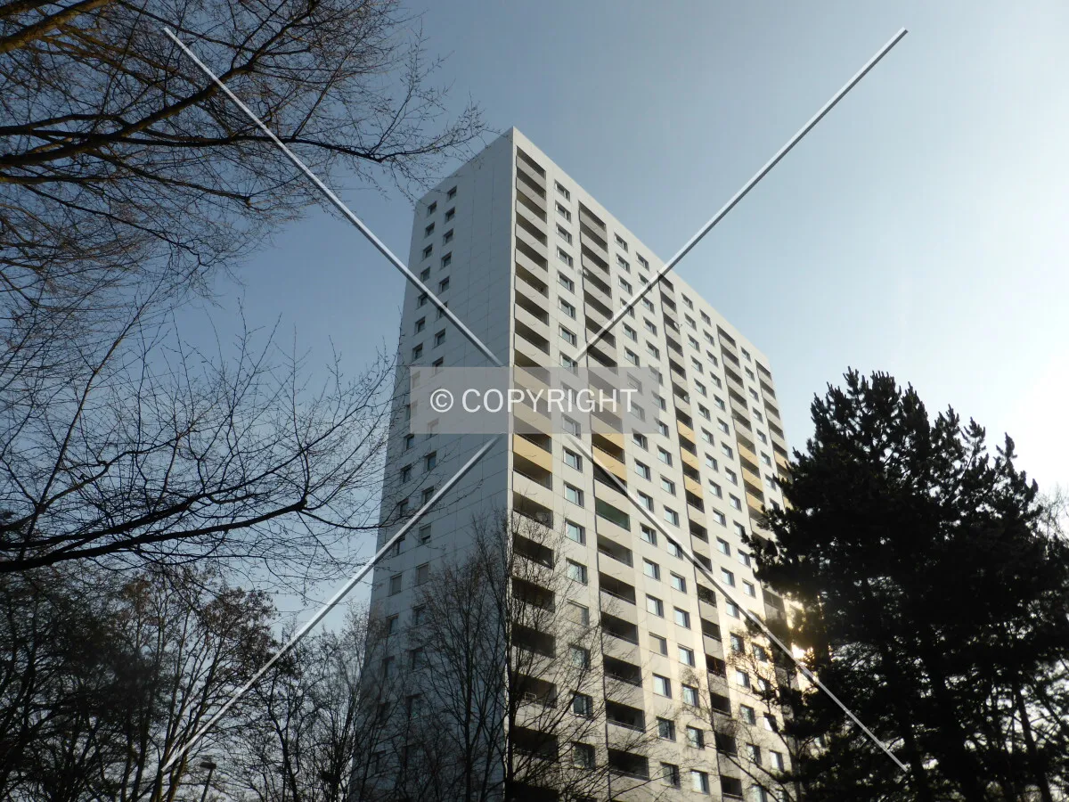 Photo 894-143-489